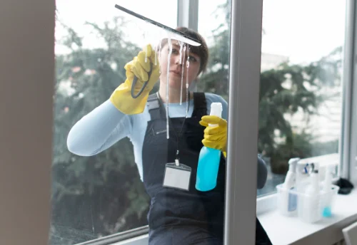 Nettoyage de vitres intérieures et extérieures à Briançonnet